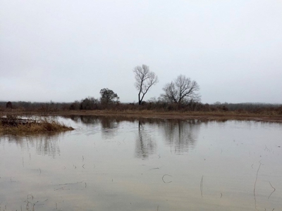 Tillable Farm and Hunting Tract - Bossier Parish LA - image 27
