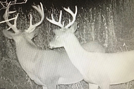 Tillable Farm and Hunting Tract - Bossier Parish LA - image 33