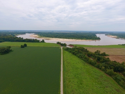 Tillable Farm and Hunting Tract - Bossier Parish LA - image 2
