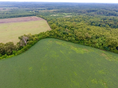 Tillable Farm and Hunting Tract - Bossier Parish LA - image 6