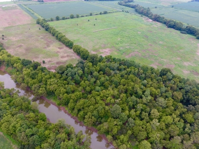 Tillable Farm and Hunting Tract - Bossier Parish LA - image 14