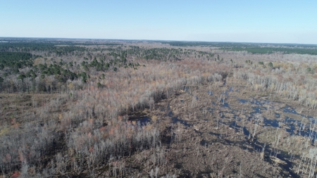 Large Acres Bottomland Hunting for Sale in Southern Arkansas - image 9