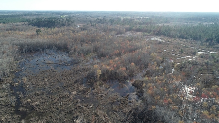 Large Acres Bottomland Hunting for Sale in Southern Arkansas - image 15