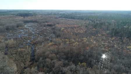 Large Acres Bottomland Hunting for Sale in Southern Arkansas - image 14