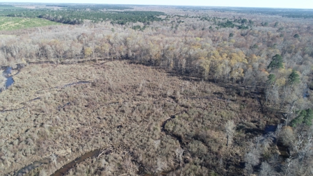 Large Acres Bottomland Hunting for Sale in Southern Arkansas - image 12