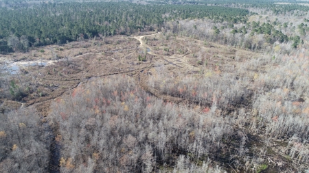 Large Acres Bottomland Hunting for Sale in Southern Arkansas - image 10