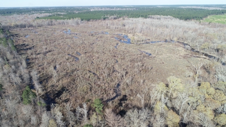 Large Acres Bottomland Hunting for Sale in Southern Arkansas - image 11