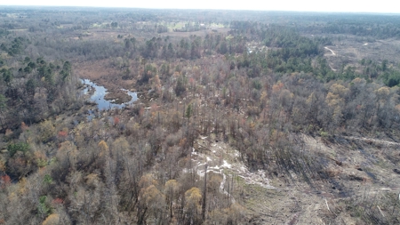 Large Acres Bottomland Hunting for Sale in Southern Arkansas - image 6