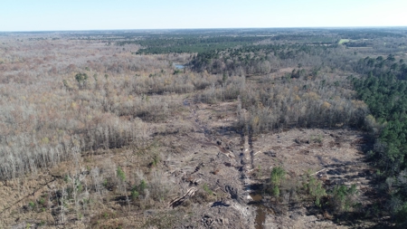 Large Acres Bottomland Hunting for Sale in Southern Arkansas - image 4