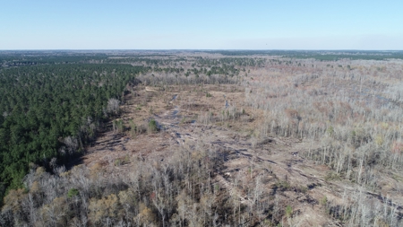 Large Acres Bottomland Hunting for Sale in Southern Arkansas - image 1