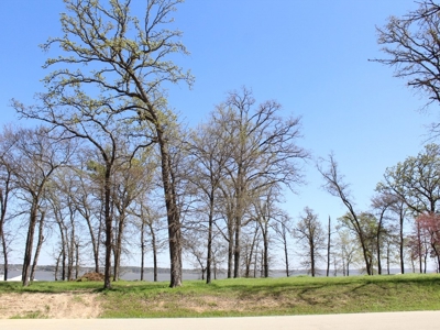 Gated Waterfront Lot In Brown's Landing Lake Palestine Tx - image 2