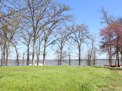 Gated Waterfront Lot In Brown's Landing Lake Palestine Tx - image 4