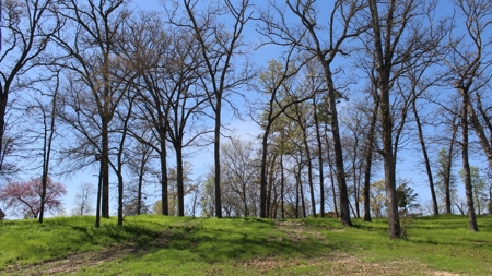 Gated Waterfront Lot In Brown's Landing Lake Palestine Tx - image 12