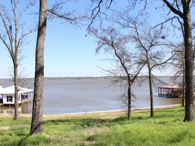 Gated Waterfront Lot In Brown's Landing Lake Palestine Tx - image 6