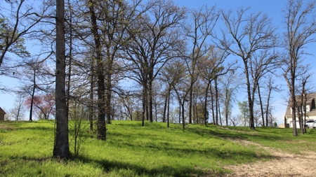 Gated Waterfront Lot In Brown's Landing Lake Palestine Tx - image 11