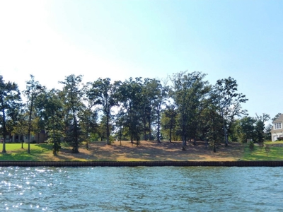 Gated Waterfront Lot In Brown's Landing Lake Palestine Tx - image 1