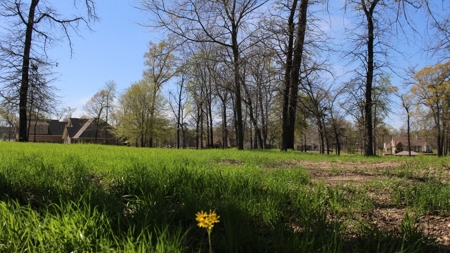 Gated Waterfront Lot In Brown's Landing Lake Palestine Tx - image 13