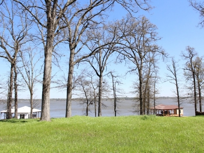 Gated Waterfront Lot In Brown's Landing Lake Palestine Tx - image 5