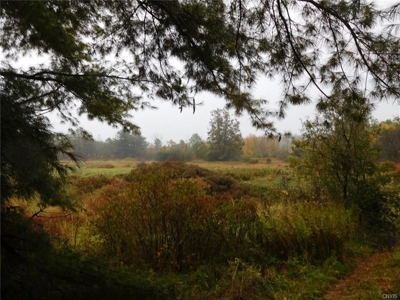 170.5 Acres of Land near St. Lawrence River - image 2