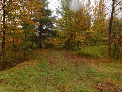170.5 Acres of Land near St. Lawrence River - image 4