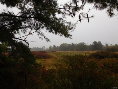 170.5 Acres of Land near St. Lawrence River - image 3