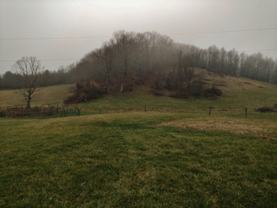 Country Home for Sale, Meadows of Dan VA - image 1