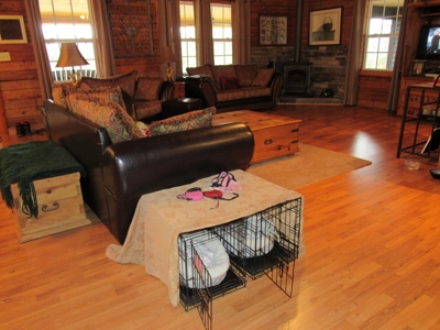 Tennessee Log Home on Acreage for Sale Decatur County TN - image 17