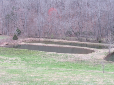 Tennessee Log Home on Acreage for Sale Decatur County TN - image 26