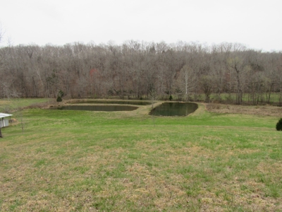 Tennessee Log Home on Acreage for Sale Decatur County TN - image 27