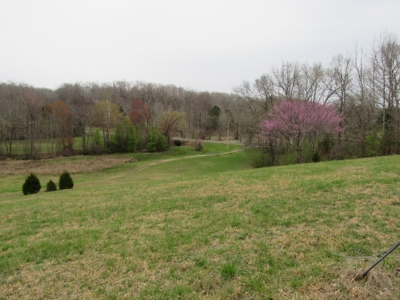 Tennessee Log Home on Acreage for Sale Decatur County TN - image 28