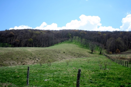 33.7 acres of open and wooded land on Monterey Mt./Highland - image 17