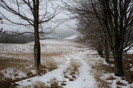 33.7 acres of open and wooded land on Monterey Mt./Highland - image 1