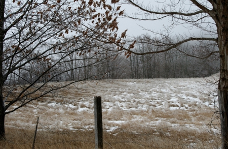 33.7 acres of open and wooded land on Monterey Mt./Highland - image 3