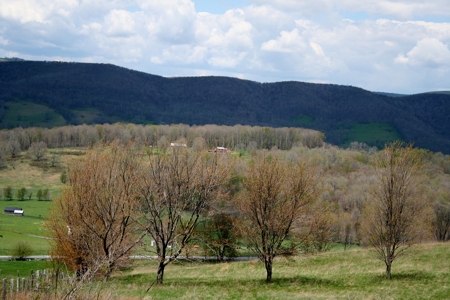 33.7 acres of open and wooded land on Monterey Mt./Highland - image 22