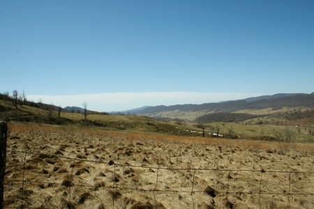 33.7 acres of open and wooded land on Monterey Mt./Highland - image 12