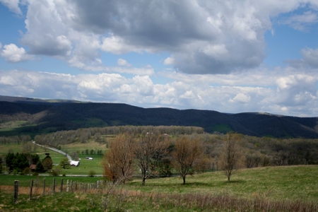 33.7 acres of open and wooded land on Monterey Mt./Highland - image 18