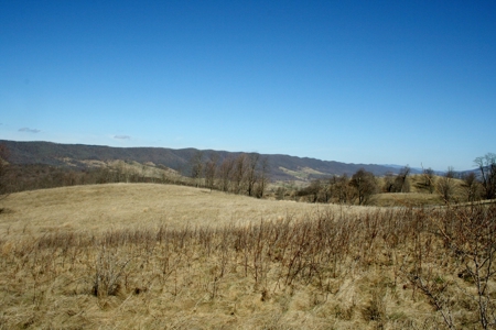 33.7 acres of open and wooded land on Monterey Mt./Highland - image 14