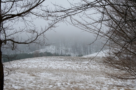 33.7 acres of open and wooded land on Monterey Mt./Highland - image 4