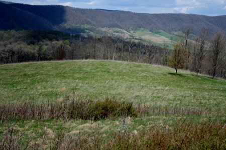 33.7 acres of open and wooded land on Monterey Mt./Highland - image 23