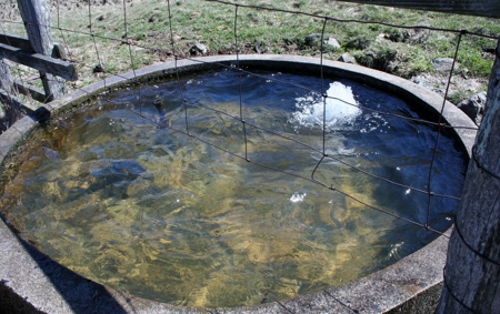 33.7 acres of open and wooded land on Monterey Mt./Highland - image 16