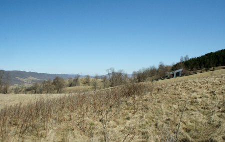 33.7 acres of open and wooded land on Monterey Mt./Highland - image 13