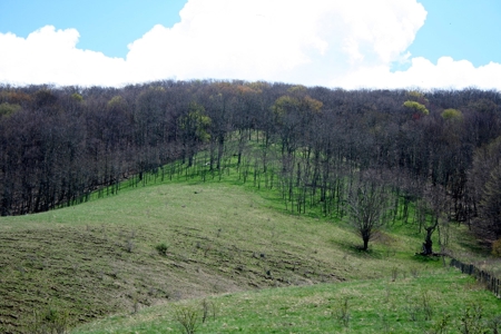 33.7 acres of open and wooded land on Monterey Mt./Highland - image 24