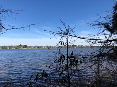 Premier Bath NC Waterfront - 30 Acres on Two Creeks - image 29