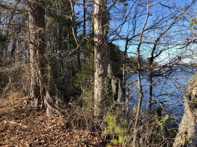 Premier Bath NC Waterfront - 30 Acres on Two Creeks - image 49