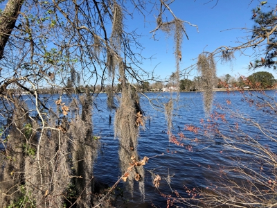 Premier Bath NC Waterfront - 30 Acres on Two Creeks - image 47