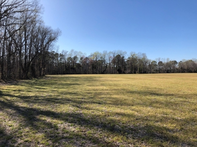 Premier Bath NC Waterfront - 30 Acres on Two Creeks - image 24