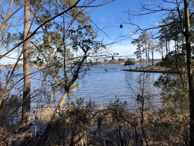 Premier Bath NC Waterfront - 30 Acres on Two Creeks - image 26