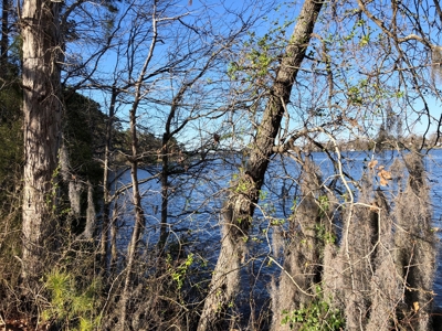 Premier Bath NC Waterfront - 30 Acres on Two Creeks - image 48