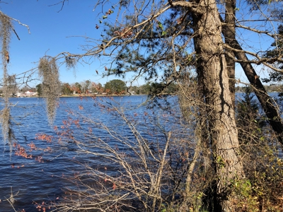 Premier Bath NC Waterfront - 30 Acres on Two Creeks - image 46