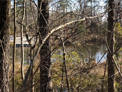 Premier Bath NC Waterfront - 30 Acres on Two Creeks - image 20